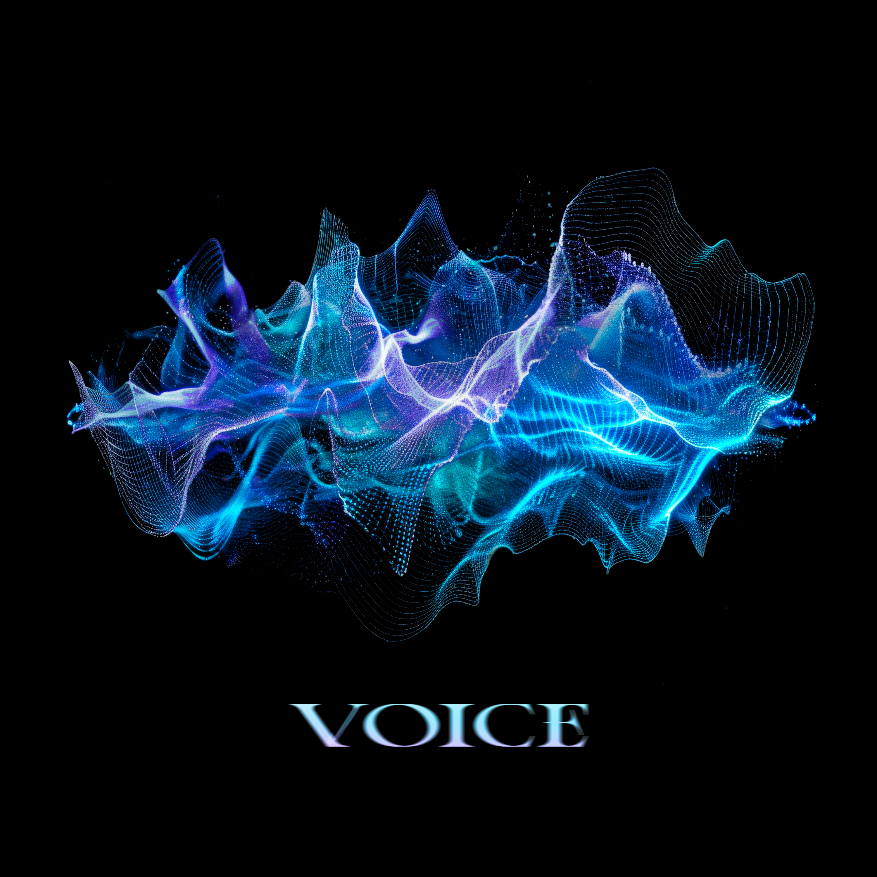 VOICE